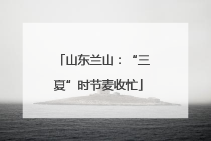山东兰山：“三夏”时节麦收忙