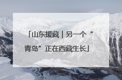 山东援藏｜另一个“青岛”正在西藏生长