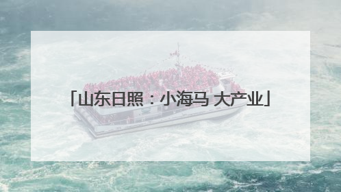 山东日照：小海马 大产业