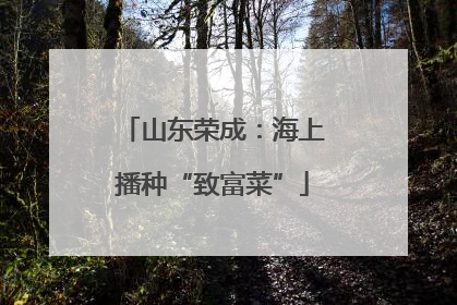 山东荣成：海上播种“致富菜”