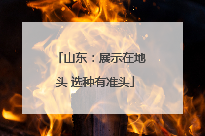 山东：展示在地头 选种有准头