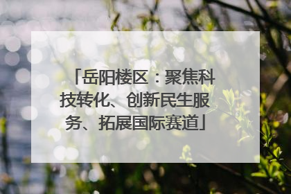 岳阳楼区：聚焦科技转化、创新民生服务、拓展国际赛道