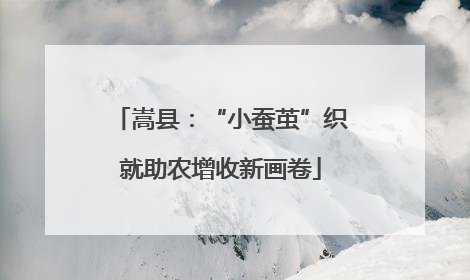 嵩县：“小蚕茧”织就助农增收新画卷