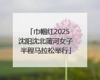 巾帼红2025沈阳沈北蒲河女子半程马拉松举行