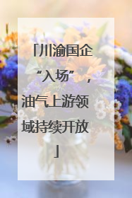 川渝国企“入场”，油气上游领域持续开放