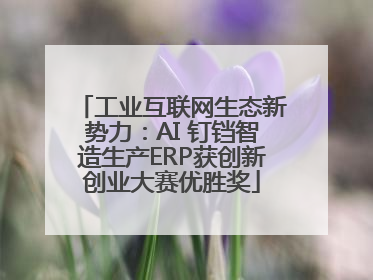 工业互联网生态新势力：AI 钉铛智造生产ERP获创新创业大赛优胜奖
