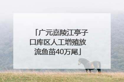 广元嘉陵江亭子口库区人工增殖放流鱼苗40万尾