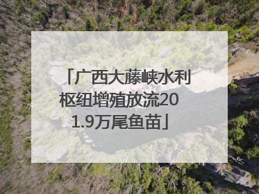 广西大藤峡水利枢纽增殖放流201.9万尾鱼苗