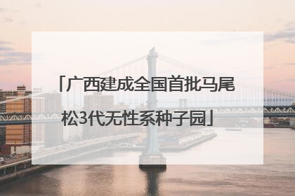 广西建成全国首批马尾松3代无性系种子园