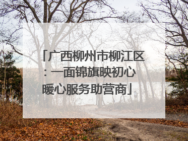 广西柳州市柳江区：一面锦旗映初心 暖心服务助营商