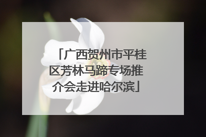 广西贺州市平桂区芳林马蹄专场推介会走进哈尔滨