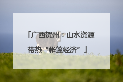 广西贺州：山水资源带热“帐篷经济”