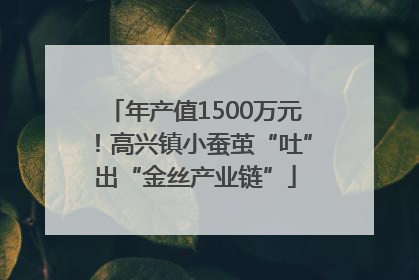 年产值1500万元！高兴镇小蚕茧“吐”出“金丝产业链”