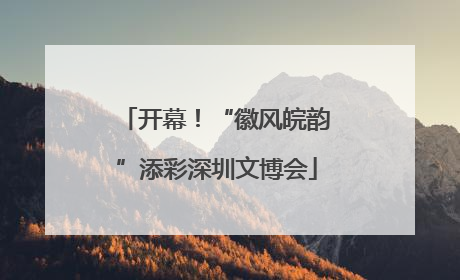 开幕！“徽风皖韵”添彩深圳文博会