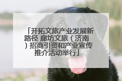 开拓文旅产业发展新路径 廊坊文旅（济南）招商引资和产业宣传推介活动举行