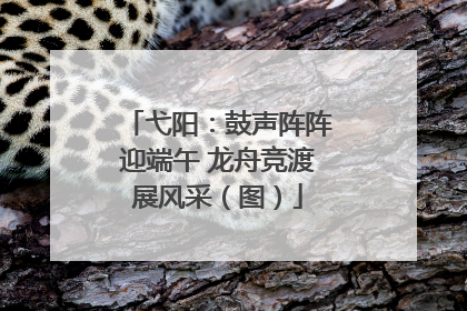 弋阳：鼓声阵阵迎端午 龙舟竞渡展风采（图）