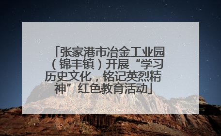 张家港市冶金工业园（锦丰镇）开展“学习历史文化，铭记英烈精神”红色教育活动