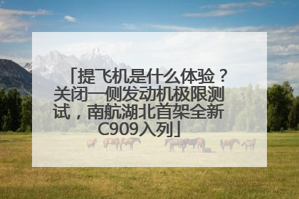 提飞机是什么体验？关闭一侧发动机极限测试，南航湖北首架全新C909入列