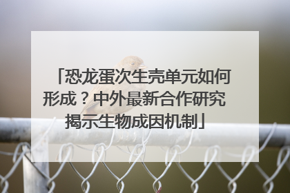 恐龙蛋次生壳单元如何形成？中外最新合作研究揭示生物成因机制
