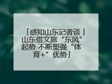 感知山东记者谈丨山东借文旅“东风”起势 不断塑强“体育+”优势