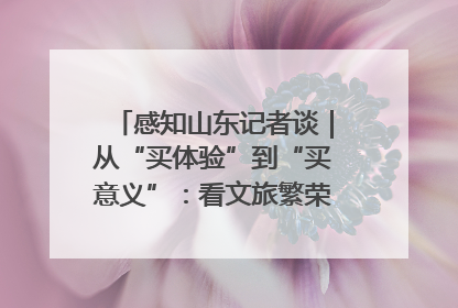 感知山东记者谈｜从“买体验”到“买意义”：看文旅繁荣背后的幸福新定义