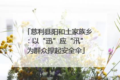 慈利县阳和土家族乡：以“迅”应“汛” 为群众撑起安全伞