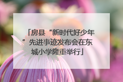 房县“新时代好少年”先进事迹发布会在东城小学隆重举行