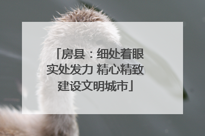 房县：细处着眼 实处发力 精心精致建设文明城市