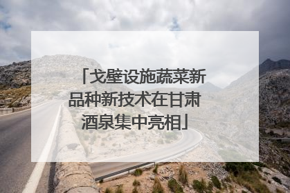 戈壁设施蔬菜新品种新技术在甘肃酒泉集中亮相