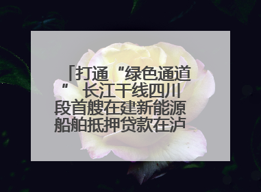 打通“绿色通道” 长江干线四川段首艘在建新能源船舶抵押贷款在泸州落地