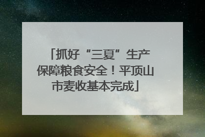 抓好“三夏”生产 保障粮食安全！平顶山市麦收基本完成
