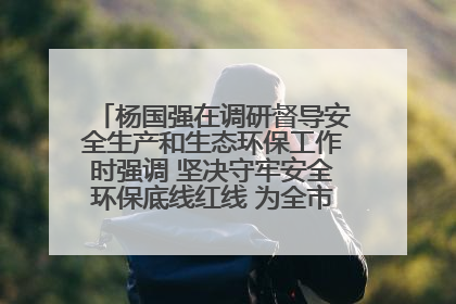 杨国强在调研督导安全生产和生态环保工作时强调 坚决守牢安全环保底线红线 为全市经济社会高质量发展提供坚强保障