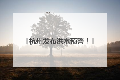 杭州发布洪水预警！