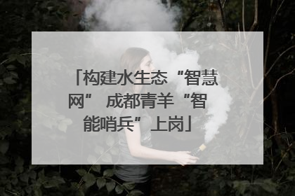 构建水生态“智慧网” 成都青羊“智能哨兵”上岗