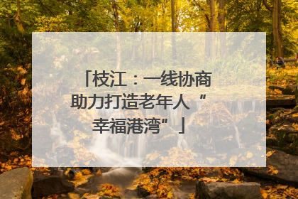 枝江：一线协商助力打造老年人“幸福港湾”
