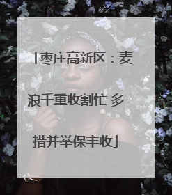 枣庄高新区：麦浪千重收割忙 多措并举保丰收