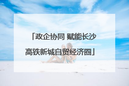 政企协同 赋能长沙高铁新城自贸经济圈