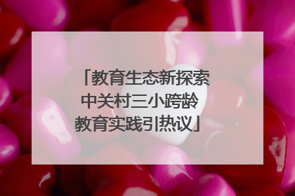 教育生态新探索 中关村三小跨龄教育实践引热议
