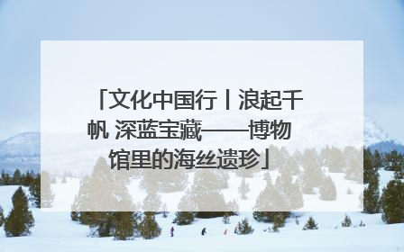 文化中国行丨浪起千帆 深蓝宝藏——博物馆里的海丝遗珍