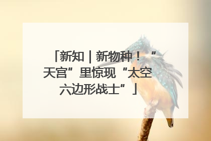 新知｜新物种！“天宫”里惊现“太空六边形战士”