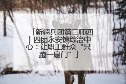 新疆兵团第三师四十四团永安镇综治中心：让职工群众“只跑一扇门”
