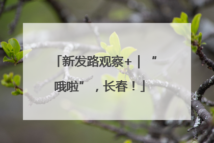 新发路观察+｜“哦啦”，长春！