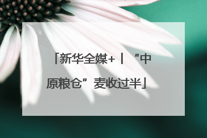 新华全媒+丨“中原粮仓”麦收过半