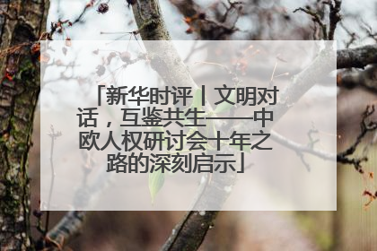 新华时评丨文明对话，互鉴共生——中欧人权研讨会十年之路的深刻启示