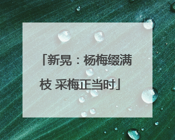 新晃：杨梅缀满枝 采梅正当时