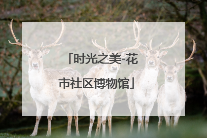 时光之美-花市社区博物馆