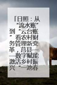 日照：从“流水账”到“云台账”看农村财务管理新变革，莒县——数字赋能激活乡村振兴“一池春水”