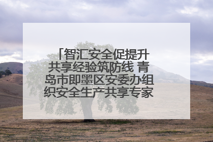 智汇安全促提升 共享经验筑防线 青岛市即墨区安委办组织安全生产共享专家现场观摩学习活动