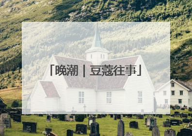 晚潮｜豆蔻往事