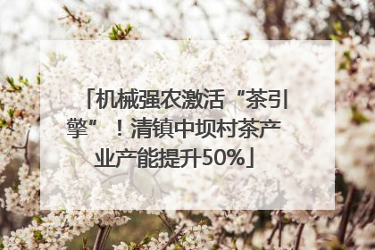 机械强农激活“茶引擎”！清镇中坝村茶产业产能提升50%